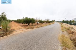Terreny residencial a Escúzar. Terreno escuzar