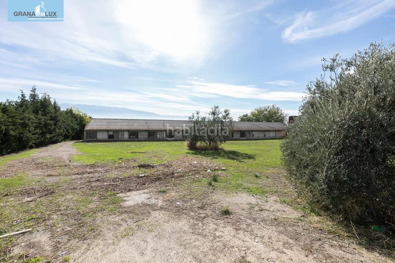 Foto 106858ef-24c7-41ac-b5e2-a4519803cb5c. Wohngrundstück in Atarfe