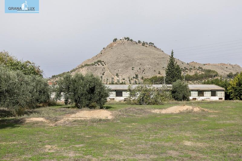 Foto 2fd5163f-617a-4626-98dc-3e639142ffee. Wohngrundstück in Atarfe