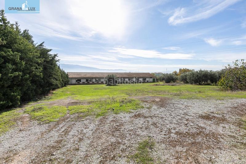 Foto 66acee03-dcc1-4006-adb9-93f6de56b89c. Wohngrundstück in Atarfe