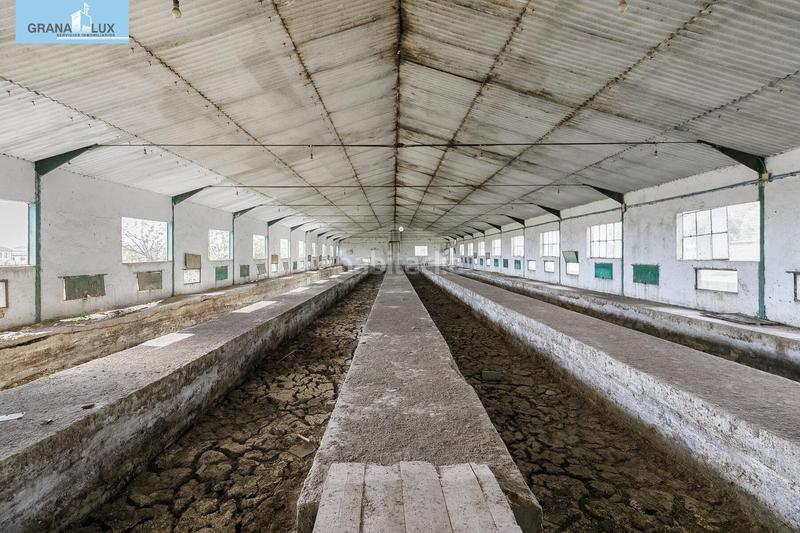 Foto 73e785b3-2b7d-460d-af4c-3d3a153f3c5f. Wohngrundstück in Atarfe