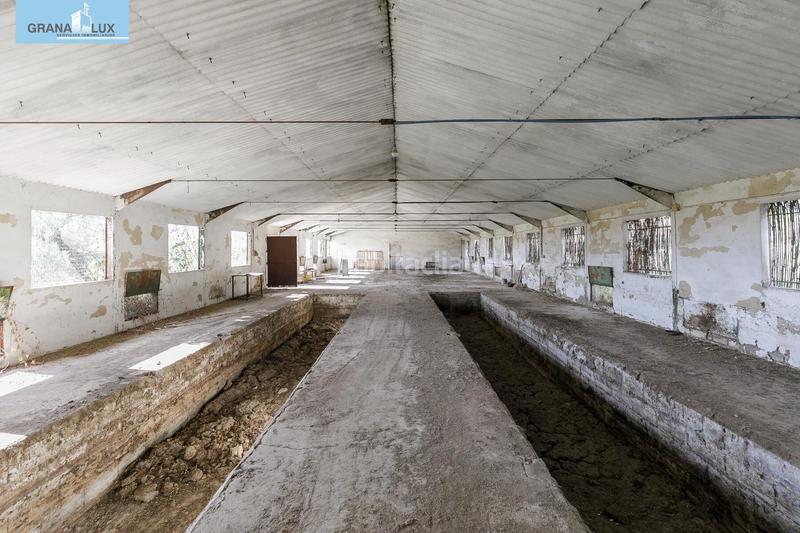 Foto a224e70e-ffd9-47d1-b5c5-7aa6936511cf. Wohngrundstück in Atarfe