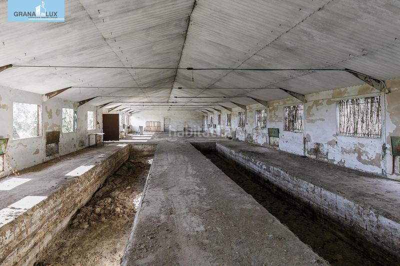 Foto cbd610b1-dc78-40d9-9e95-2d947d95cc56. Wohngrundstück in Atarfe