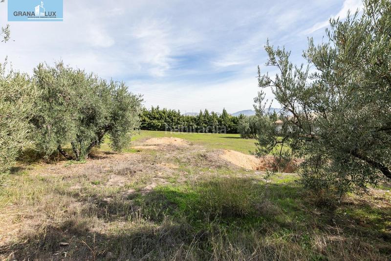 Foto e7983a87-3569-42fc-ae24-7180e1a76049. Wohngrundstück in Atarfe