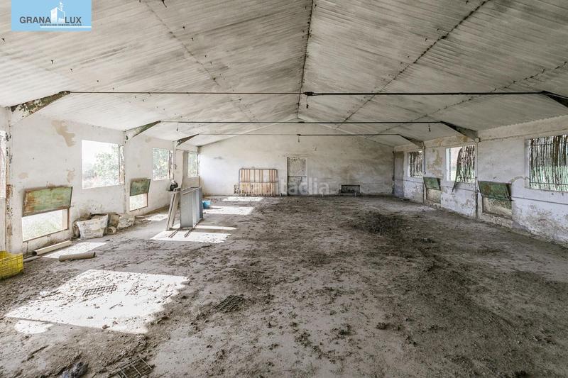 Foto ee3a3ed9-3e09-4ff2-be49-391d456cd0f7. Wohngrundstück in Atarfe