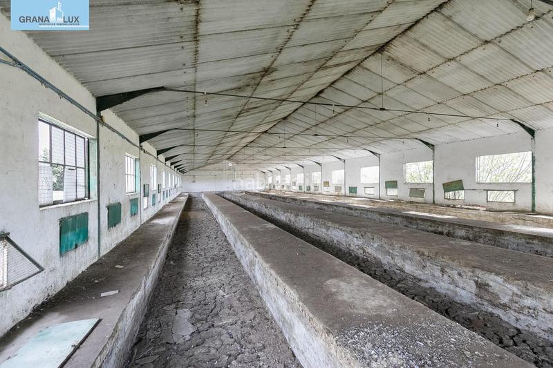 Foto f51d42d0-cdc8-4836-9984-a9c113a4a8e2. Wohngrundstück in Atarfe