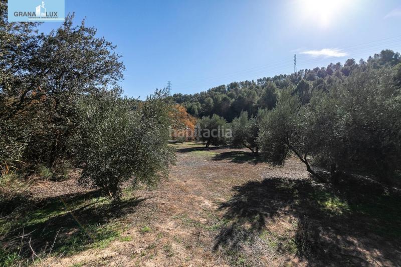 Foto 2443a445-30ba-434b-bc9e-9ef9eabd591d. Finca rústica excelente olivar en el chaparral albolote en Atarfe