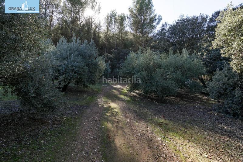 Foto 39aeda5a-f293-4f5d-9d02-9e747076c235. Finca rústica excelente olivar en el chaparral albolote en Atarfe