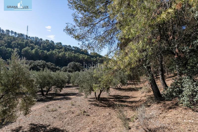 Foto 5fe133ab-ea74-478d-a7dc-cc1100317567. Finca rústica excelente olivar en el chaparral albolote en Atarfe