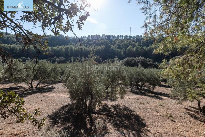 Foto e3e07068-b5f6-4d25-934f-b857d89dbd10. Finca rústica excelente olivar en el chaparral albolote en Atarfe