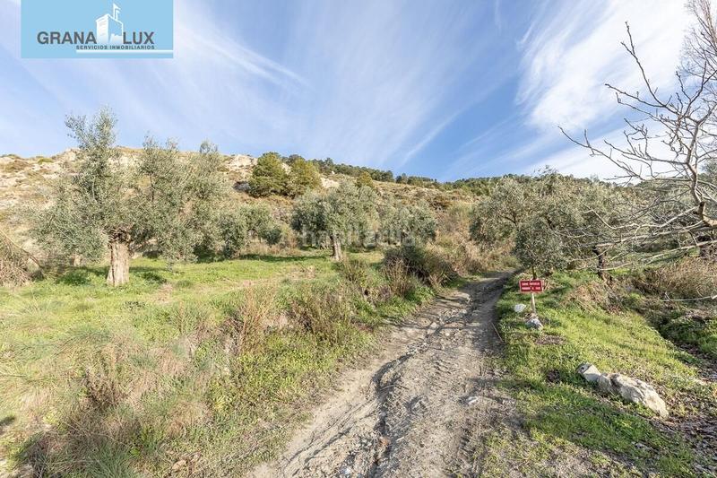 Foto 0067bb8d-1dea-43c7-937b-54e5fd149a58. Propriété dans Monachil pueblo Monachil