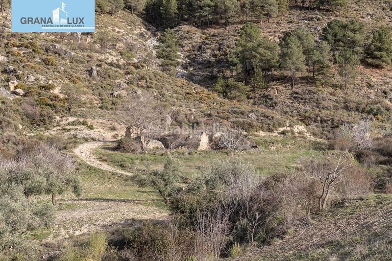 Foto 171defae-637f-450b-997b-174c926da3fc. Propriété dans Monachil pueblo Monachil