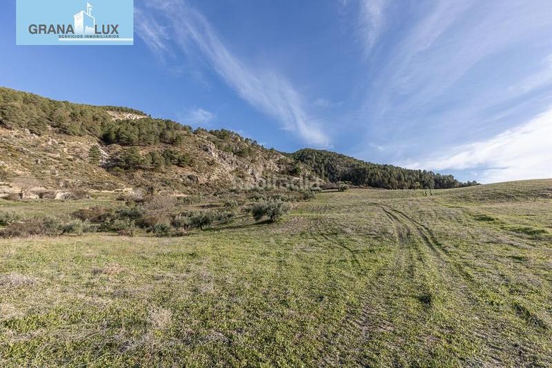 Foto f022ac78-0d98-4fcb-86dd-ff9b90ad09e7. Propriété dans Monachil pueblo Monachil