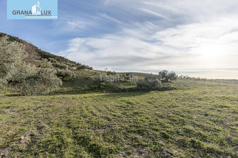 Foto fa56de78-820f-4b2b-8bd8-36292e6568d3. Propriété dans Monachil pueblo Monachil