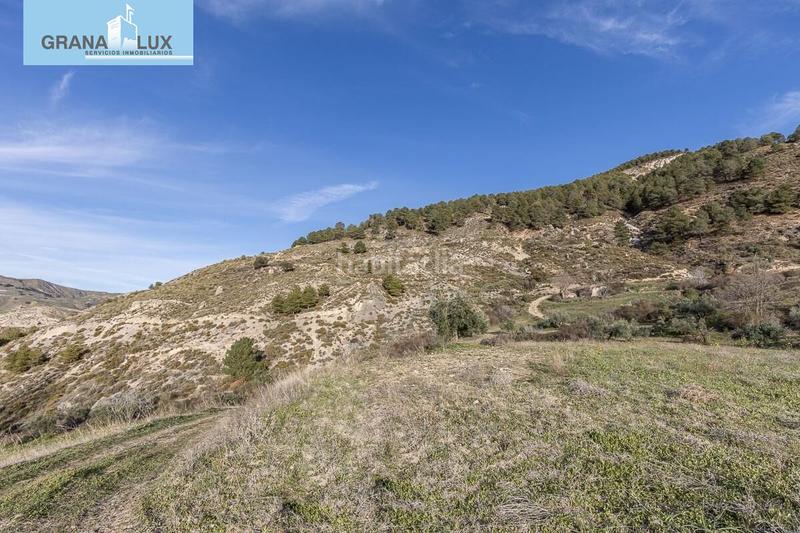 Foto fc50a39d-d8da-4f49-92f4-11dcf1b8c879. Propriété dans Monachil pueblo Monachil