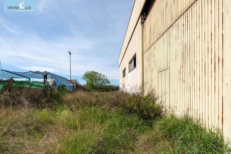 Foto 40620c72-cc0d-491c-a208-af4ade7c9392. Nau industrial a calle pinos puente 48 a Atarfe