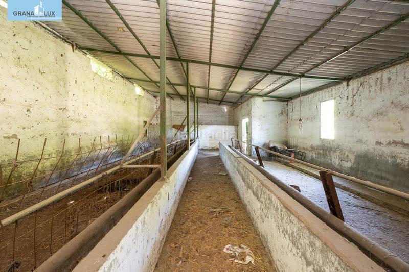 Foto 37895aa9-440d-4936-997f-518b1e4b5c30. Rural plot in Cenes de la Vega