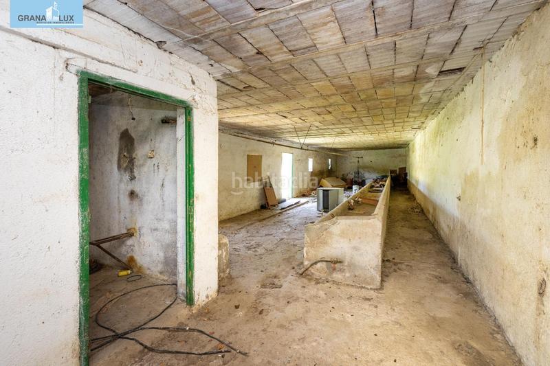 Foto 3ebd676f-c52d-4678-8bd1-5e045de11647. Rural plot in Cenes de la Vega