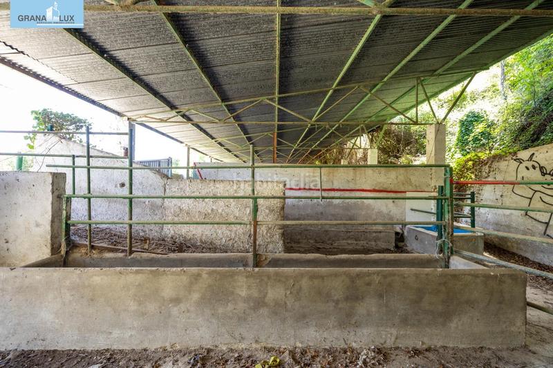 Foto 4bbe1d4f-518f-4dc6-a5ea-c371b31d6835. Rural plot in Cenes de la Vega