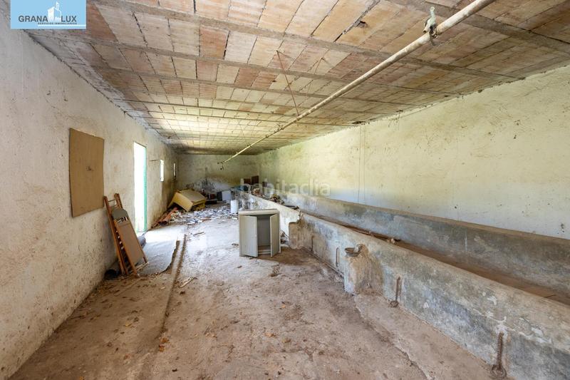 Foto 60d0bfa4-95ec-4402-a4ba-7d3a31f6ebf6. Rural plot in Cenes de la Vega