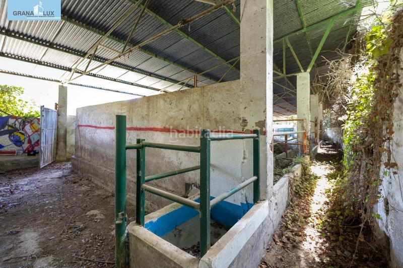 Foto 808cffa0-ceae-400c-a769-81bb6159856c. Rural plot in Cenes de la Vega