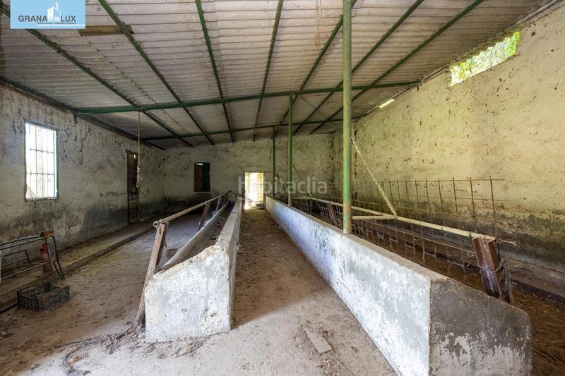 Foto bd59de57-8530-4aa5-a9e1-b7da25278478. Rural plot in Cenes de la Vega