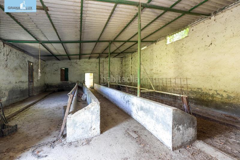 Foto e1266289-f61b-4129-9284-3dd3655feec1. Rural plot in Cenes de la Vega