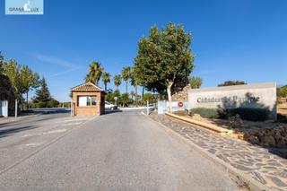 Terreny residencial  Calle puntal de las siete lagunas. Magnifica parcela en cañadas del parque!!!!!