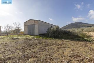 Bâtiment à usage industriel à Albolote. Oportunidad! parcela rústica con nave