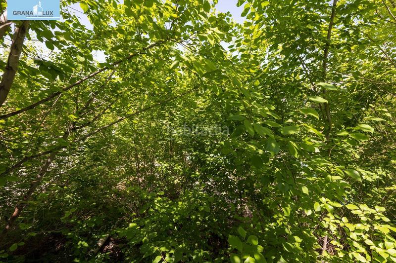 Foto 716ad385-dd42-4358-9ecb-fcaa34f5560c. Terreny residencial a Barrio de la Vega Monachil