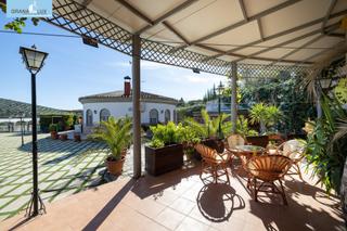 Xalet  Calle adelfas. Espectacular chalet con piscina, jardines y salón de fiestas en