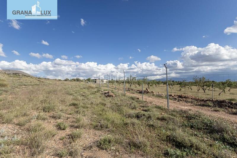 Foto 3f682f0c-2d49-477d-b331-6b054baed0e2. Finca rústica a Guadix