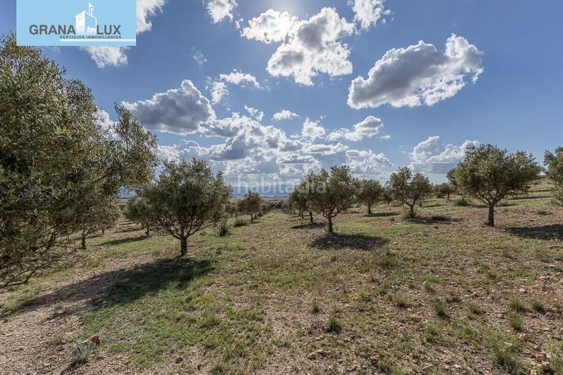 Foto 6451c590-f67e-43a9-a248-5dc348c05849. Finca rústica a Guadix