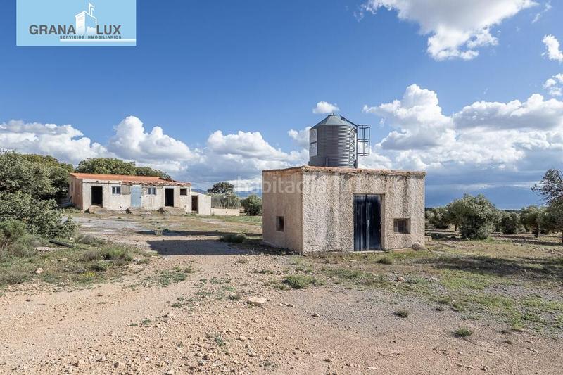 Foto 90061cf9-8be5-4716-8446-c0ea0e6eb838. Finca rústica a Guadix