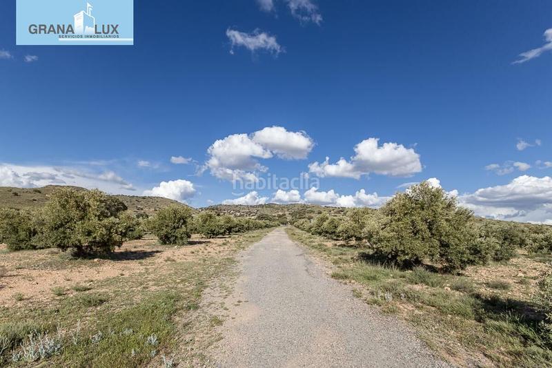 Foto ba1a3b15-d747-4fea-abaf-7bcea6056860. Finca rústica a Guadix
