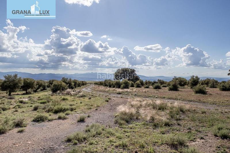 Foto f8721400-93db-4335-a1fd-73ef121adf47. Finca rústica a Guadix