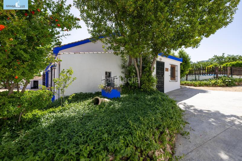 Foto 04ef5454-1454-4d1b-9895-ec065654ba97. Local comercial cortijo gran capitan en illora en Íllora