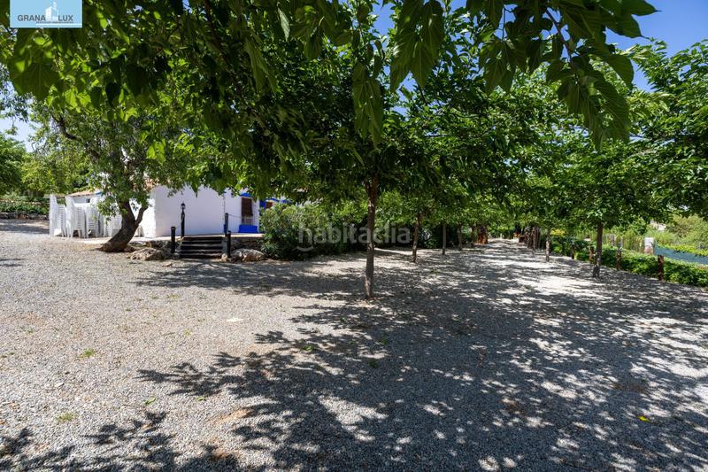 Foto 8baed9ea-f18c-4681-acbd-9fc8b5114d3b. Local comercial cortijo gran capitan en illora en Íllora