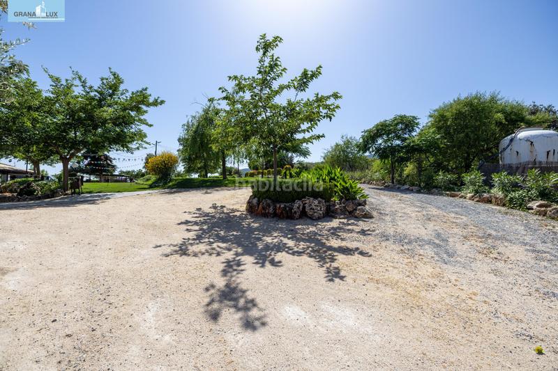 Foto effb010b-396c-44e7-a229-7b9c1e642314. Local comercial cortijo gran capitan en illora en Íllora