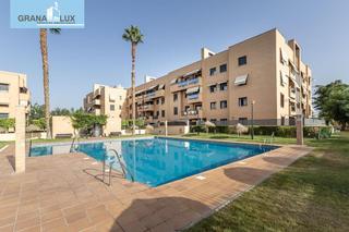 Piso en Angustias - Chana - Encina. Piso de dos dormitorios junto a parque almunia con piscina comun