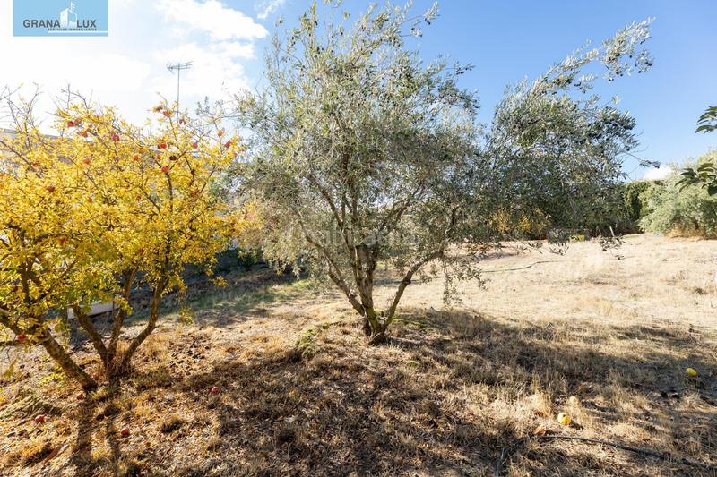 Foto 70f4f0f1-2b25-431e-8f42-dfd443206936. Terreny residencial a San Francisco - El Chorrillo Gabias (Las)