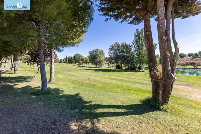 Foto 83e4808e-4832-418f-b61a-0acc3b3ff314. Terreny residencial a San Francisco - El Chorrillo Gabias (Las)