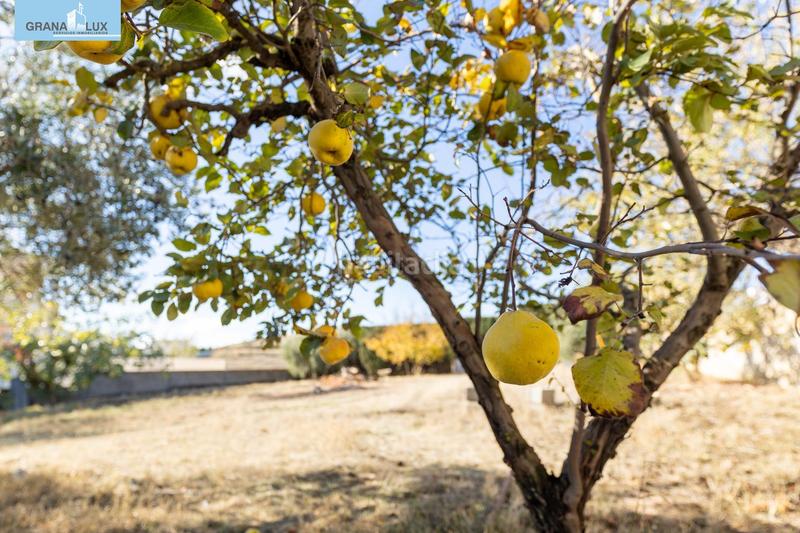 Foto c600e3d1-14bd-47b8-b294-6b5635e29099. Terreny residencial a San Francisco - El Chorrillo Gabias (Las)