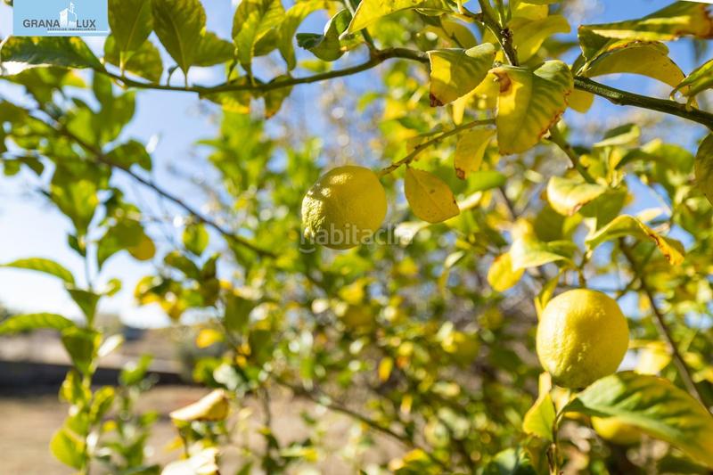 Foto d09c37df-dee2-4a6f-8547-732605f9c133. Terreny residencial a San Francisco - El Chorrillo Gabias (Las)