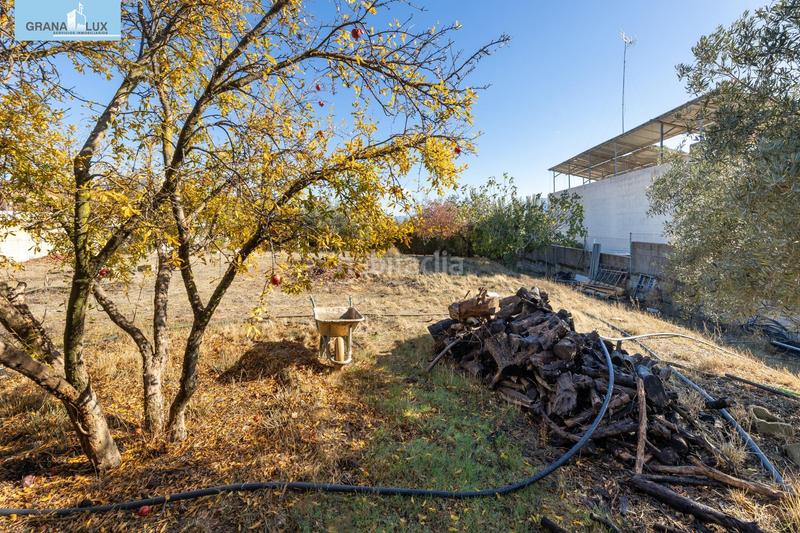 Foto dbb9cb0e-9917-4840-ab98-c4b0545ed678. Terreny residencial a San Francisco - El Chorrillo Gabias (Las)