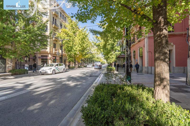 Foto f7a0cd5e-52b2-4a68-aeab-1a5bfb3bdd63. Appartamento con riscaldamento parcheggio in Centro - Sagrario Granada