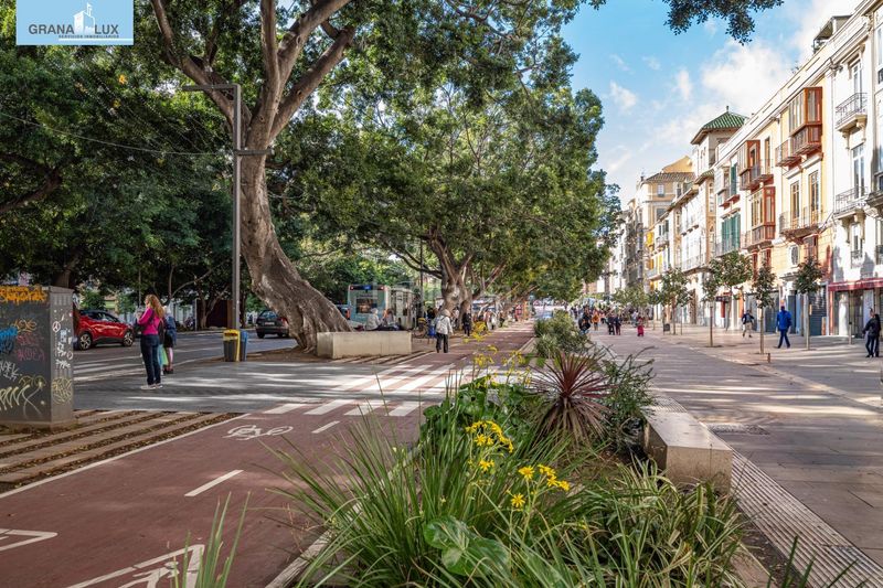 Foto 7df9df31-149c-46e1-ad86-bbbccdb4c0b8. Pis amb aparcament a Centro Histórico Málaga