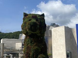 Pis en Abandoibarra - Guggenheim. Espectacular vivienda en abando junto al museo guggenheim.