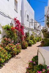 Casa a Conil. Casa