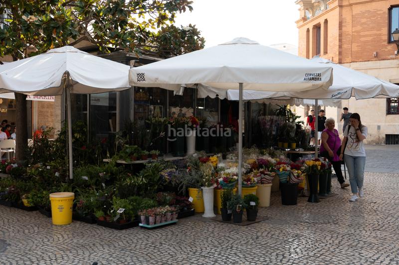 Foto 64766b7c-b8b8-43f3-a8ee-d9a49fafb6b3. Piccolo appartamento in Centro Histórico Cádiz